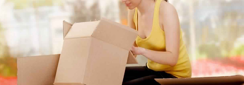 Office/House Relocation Services Hisar